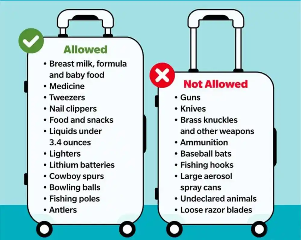 Restrictions on items of the baggage