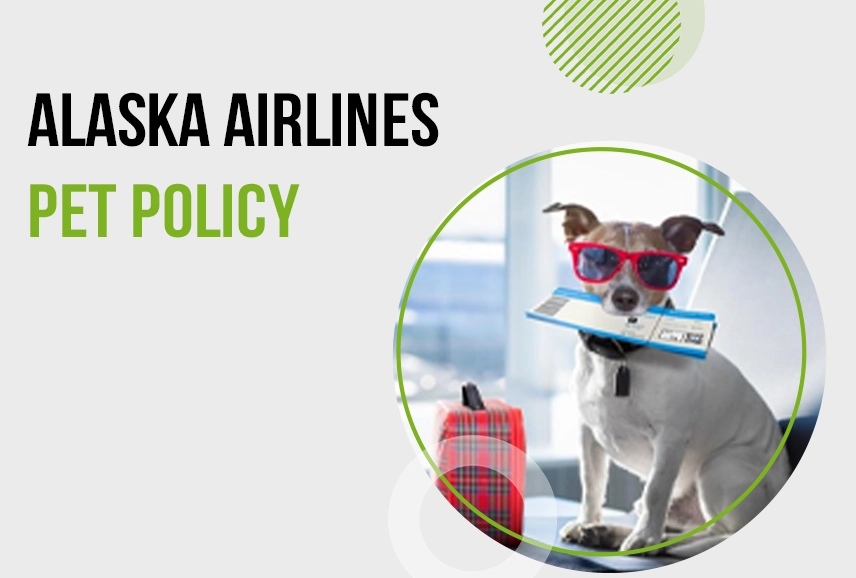 Alaska Airlines Pet Policy