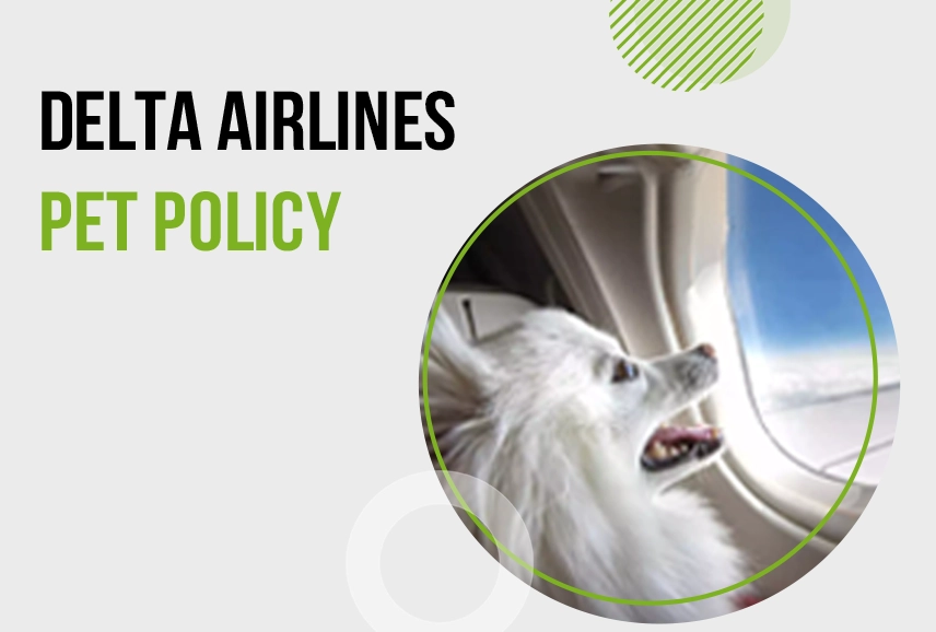 Delta Airlines Pet Policy