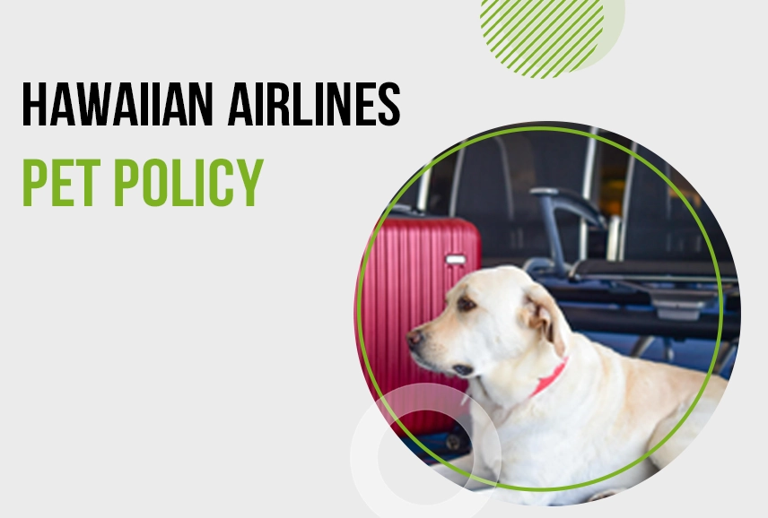 Hawaiian Airlines Pet Policy
