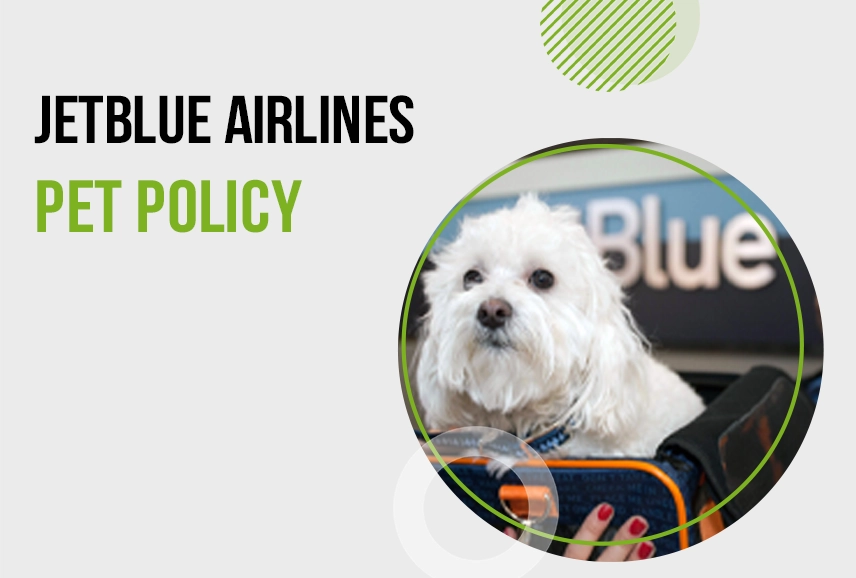 JetBlue Airlines Pet Policy