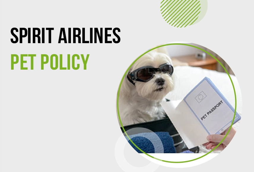 Spirit Airlines Pet Policy