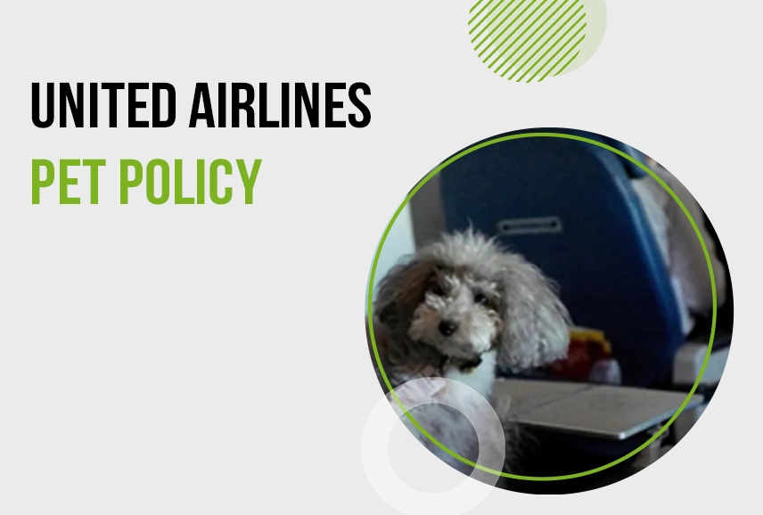 United Airlines Pet Policy