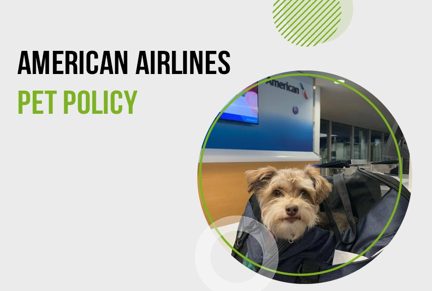 American Airlines Pet Policy Fee