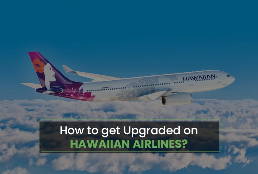upgrade hawaiian airlines