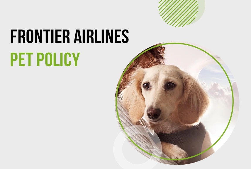 Frontier Airlines Pet Policy