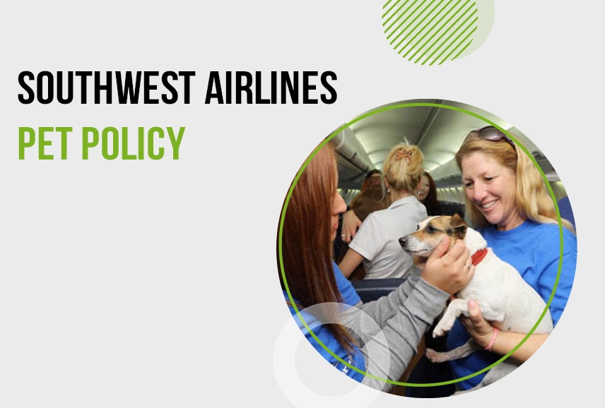 Southwest Airlines Pet Policy