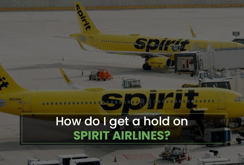 How do I get a hold on Spirit Airlines?