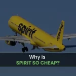 Why Is Spirit So Cheap
