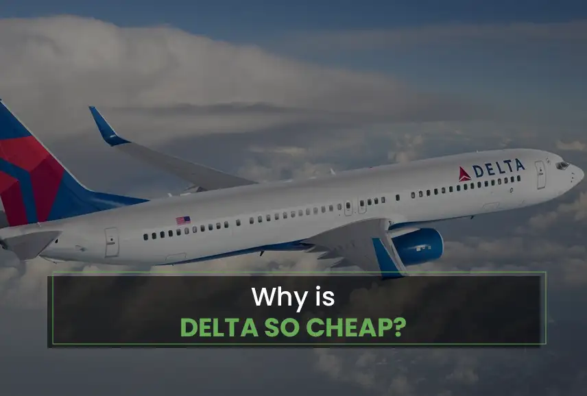Why is Delta so cheap?