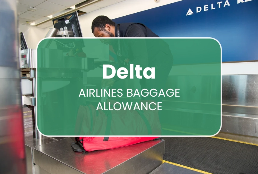 Delta Airlines Baggage Allowance