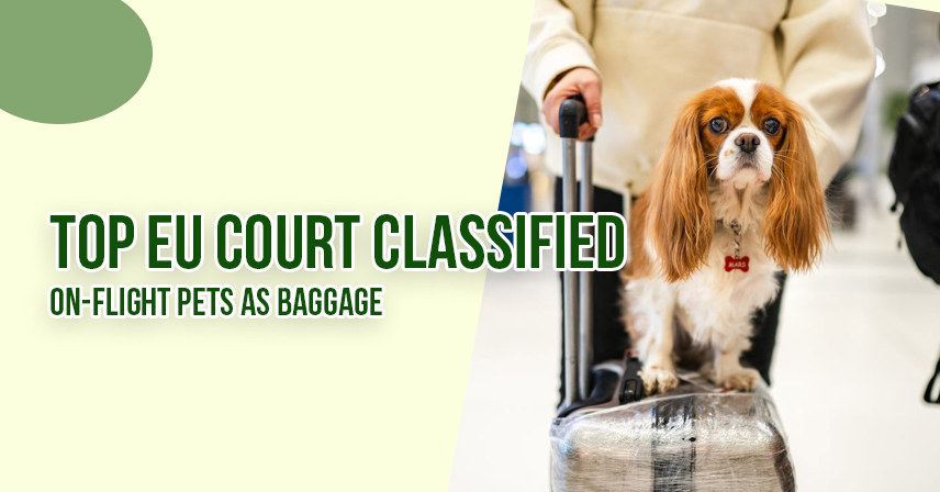 Top EU Court Classified On-Flight Pets as Baggage