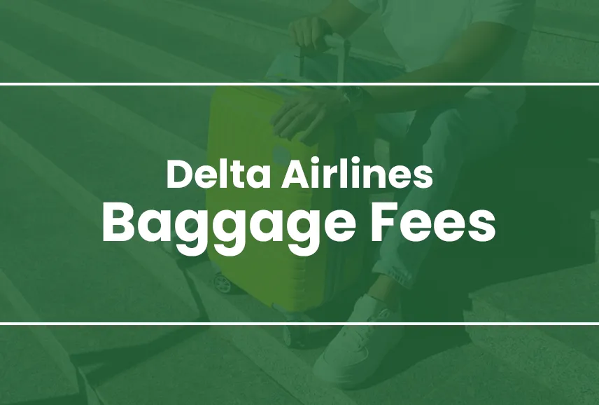 Delta Airlines Baggage Fees