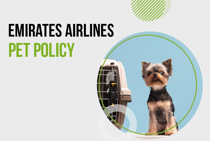 Emirates Airlines Pet Policy