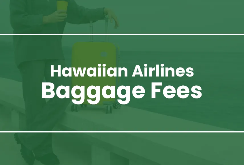 Hawaiian Airlines Baggage Fees