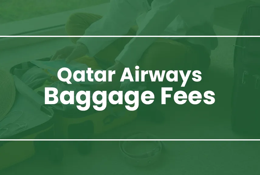 Qatar Airways Baggage Fees