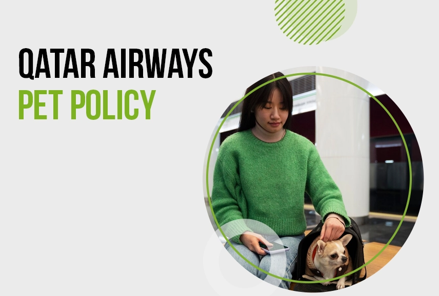 Qatar Airways Pet Policy
