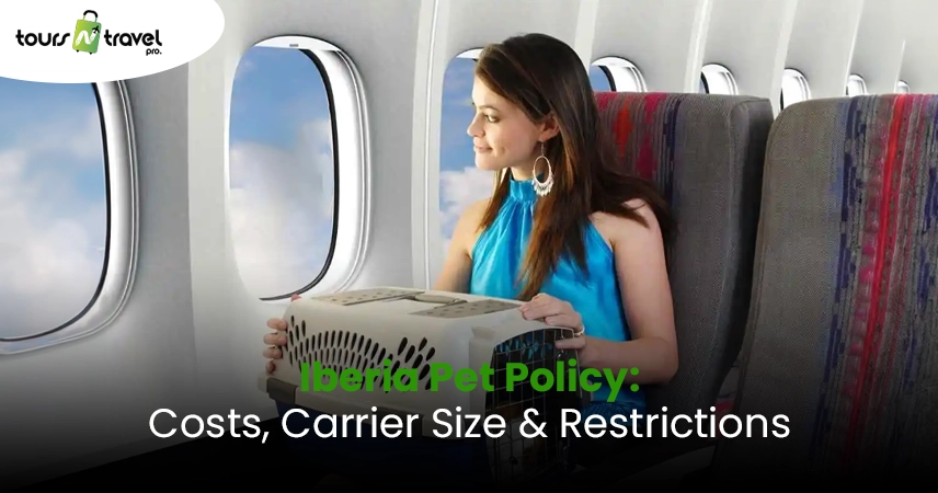 Iberia Pet Policy Costs, Carrier Size & Restrictions